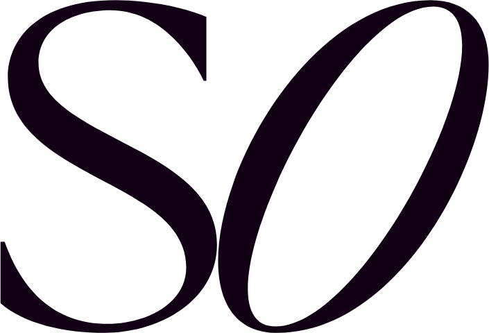 website logo