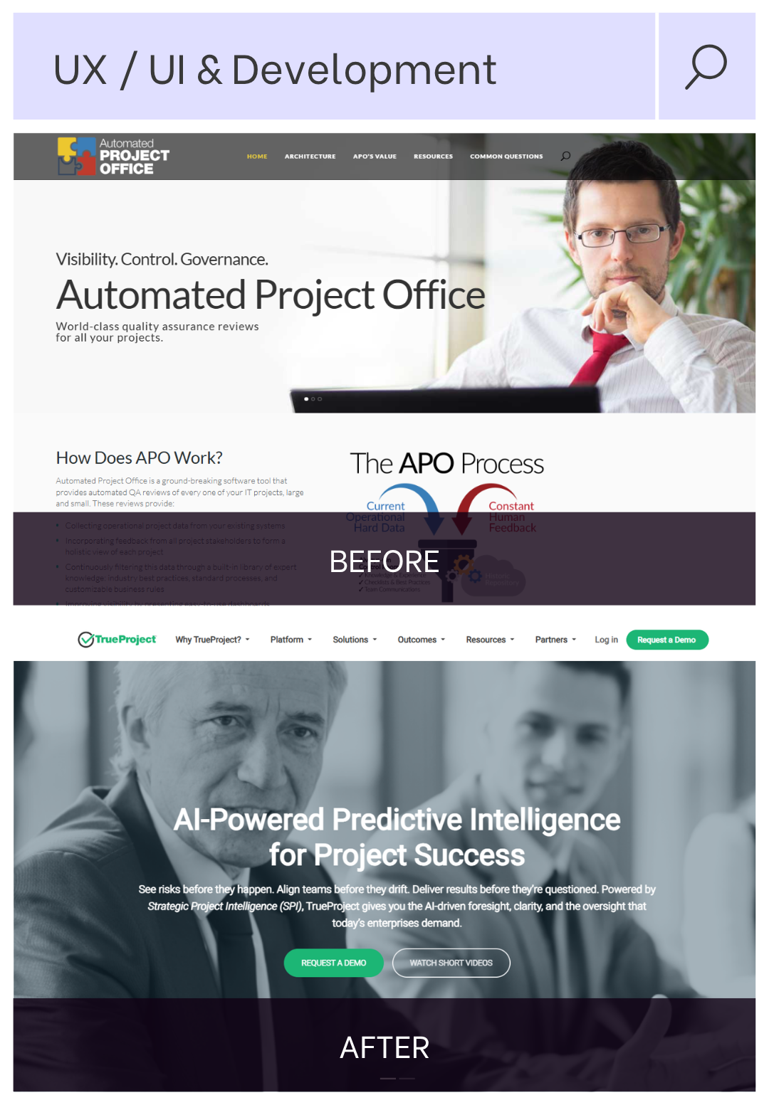 TrueProject dashboard preview